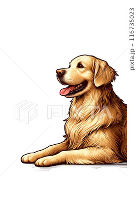 スコットランドのゴールデン・レトリーバーのカラー画像。優しく愛情深い性格で、黄金の被毛が特徴。 116735023