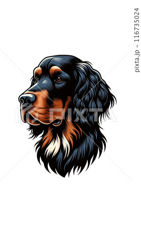 スコットランドのゴードン・セッターのカラー画像。黒と茶色の被毛が特徴的、狩猟犬として優れる。 116735024