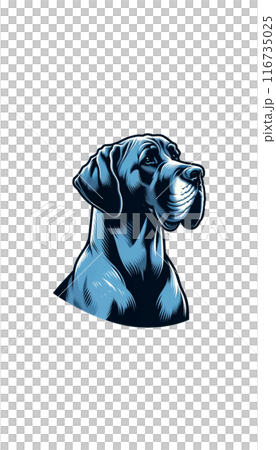 Color image of a German Great Dane, a gentle dog with a huge, graceful appearance. 116735025