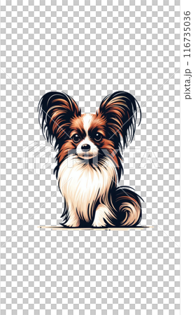 法國蝴蝶犬的彩色影像。它的特徵是體型小,耳朵像蝴蝶。 法國蝴蝶犬的彩色影像。它的特徵是體型小,耳朵像蝴蝶。 116735036