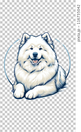 ロシアのサモエドのカラー画像。フサフサした白い被毛と友好的な性格が特徴。 ロシアのサモエドのカラー画像。フサフサした白い被毛と友好的な性格が特徴。 116735042