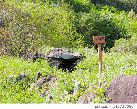 奈良古墳群 10号古墳 奈良古墳群 10号古墳 116735050