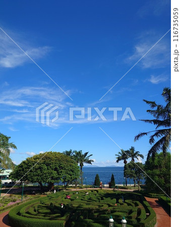 beautiful tropical sea and land with palm tree beautiful tropical sea and land with palm tree 116735059