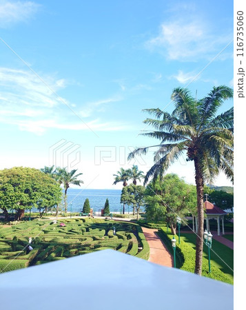 beautiful tropical land and sea with coconut palm tree beautiful tropical land and sea with coconut palm tree 116735060