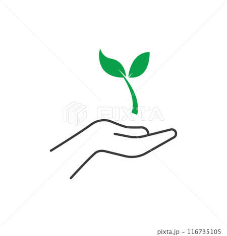 Seed plant icon Seed plant icon 116735105