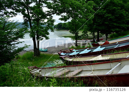 夏の塘路湖 116735126