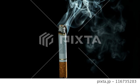 煙の出ているタバコ 116735283
