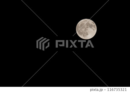 夜空に光る満月 116735321