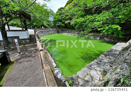 田原城 (三河国)の櫓と曲輪 116735451