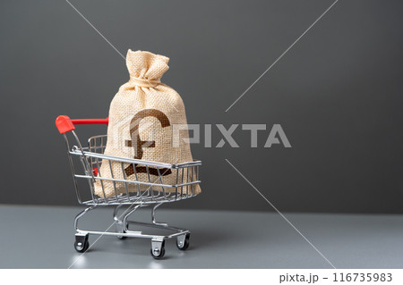 Shopping cart with a british pound sterling money bag. Trade and retail. Taxes. Consumer prices. Win money for shopping. Import of products. Purchasing power of buyers. Extra income. 116735983
