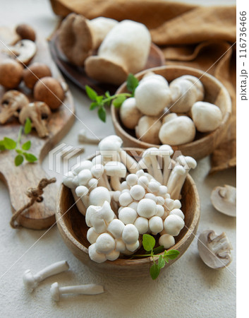 Assortment of various raw mushrooms on gray concrete background. 116736466