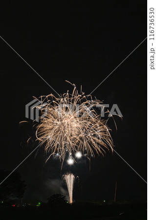 夏の夜空を彩る花火 116736530