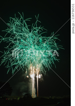夏の夜空を彩る花火 116736531