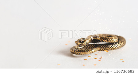 Bronze snake figurine on a white background. The symbol of 2025. Happy Chinese New Year. Bronze snake figurine on a white background. The symbol of 2025. Happy Chinese New Year. 116736692