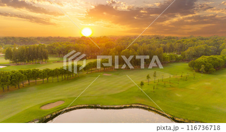 Tranquil golf course at sunrise with lush greenery and serene pond in peaceful morning light Tranquil golf course at sunrise with lush greenery and serene pond in peaceful morning light 116736718