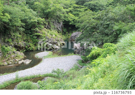 群馬県藤岡市の三波石峡の清流 116736793