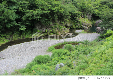 群馬県藤岡市の三波石峡の清流 群馬県藤岡市の三波石峡の清流 116736795