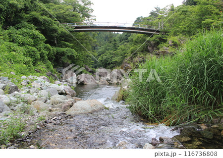 三波石峡の清流 116736808