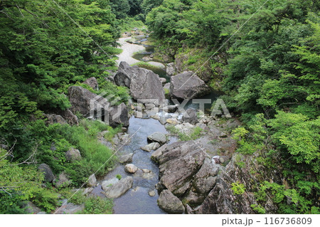 三波石峡の清流 116736809