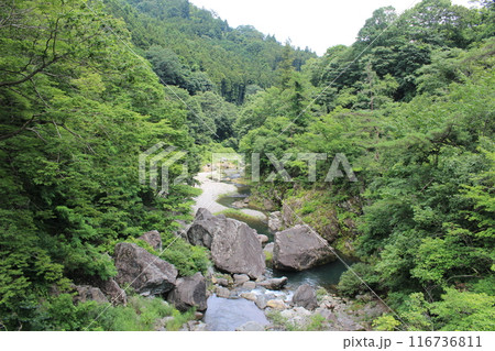 三波石峡の清流 116736811