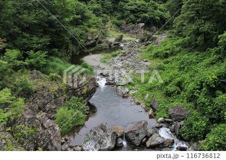 三波石峡の清流 116736812