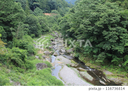 三波石峡の清流 116736814
