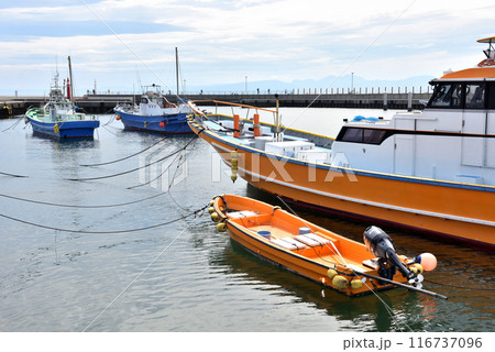 片瀬漁港に停泊するカラフルな漁船 116737096