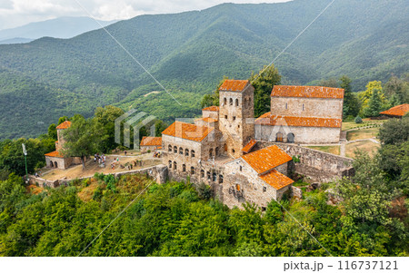 Aerial view of Nekresi monastery  116737121