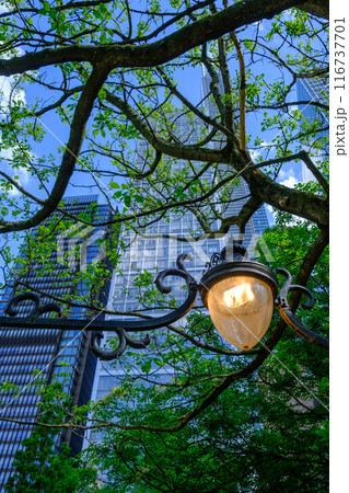 View of modern office buildings in the City of London near Liverpool Street, the United Kingdom 116737701