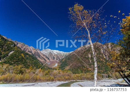 【秋の上高地】梓川と穂高連峰の大パノラマ 116737753