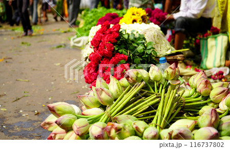 Lotus and Red Rose are kept in a row for selling in Howrah Flower Market, Kolkata Flower Market, Mullick Ghat Lotus and Red Rose are kept in a row for selling in Howrah Flower Market, Kolkata Flower Market, Mullick Ghat 116737802
