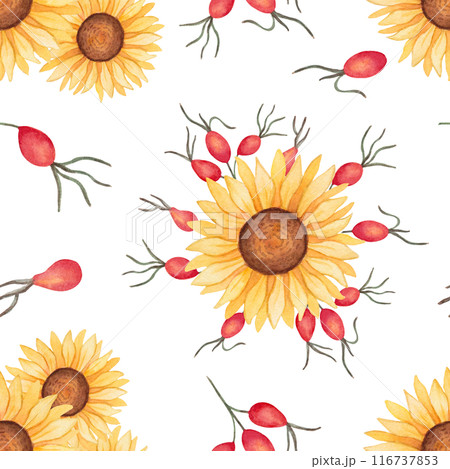 Sunflower with rose hips seamless pattern. Watercolor illustration. Autumn botanical background with flowers and berries. Hand drawn isolated art. Wallpaper for seasonal projects Thanksgiving. 116737853