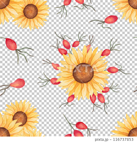 Sunflower with rose hips seamless pattern. Watercolor illustration. Autumn botanical background with flowers and berries. Hand drawn isolated art. Wallpaper for seasonal projects Thanksgiving. 116737853