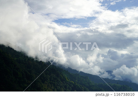 Mountain Range with Cloudy Sky in North Bengal 116738010