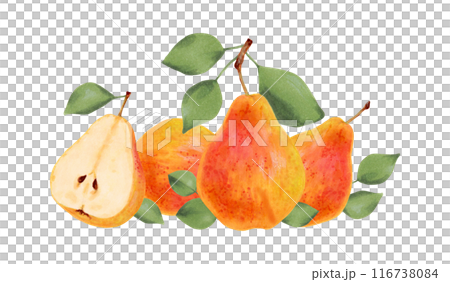 Composition of yellow pears with leaves. Botanical watercolor, marker illustration. Organic food sketch. Hand drawn isolated art. Pictures of healthy fruits from the tree for juice design, menu. 116738084