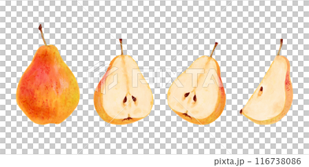 Set of yellow pears. Whole, halves and pieces of fruit. Botanical watercolor illustration. Pictures of fruits from a tree. Hand drawn isolated clipart. Vegetarian products. Organic food sketch. Set of yellow pears. Whole, halves and pieces of fruit. Botanical watercolor illustration. Pictures of fruits from a tree. Hand drawn isolated clipart. Vegetarian products. Organic food sketch. 116738086