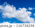 青空と白い雲 116738298