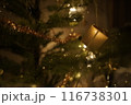 煌びやかなクリスマスツリー 116738301