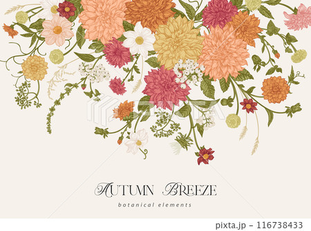 Botanical card. Autumn and summer garden flowers. Dahlias, asters, dogwood berries, spikelets. Colorful. Vintage blooming background. Horizontal composition. 116738433