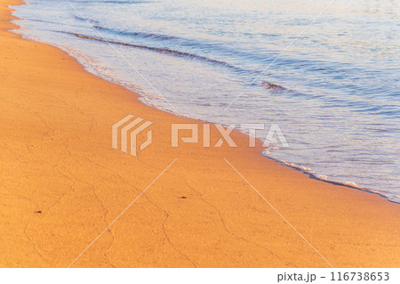 Soft wave of the sea on the sandy beach. 116738653