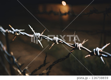 暗闇に有刺鉄線（鉄条網） 116738659