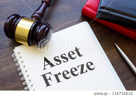 Gavel and books about asset freeze. 116738818
