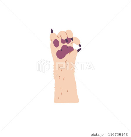 Vector illustration with a fluffy white paw of a puppy with the ok gesture 116739148