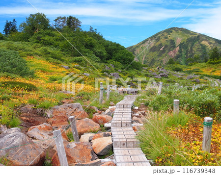 初秋の火打山 初秋の火打山 116739348