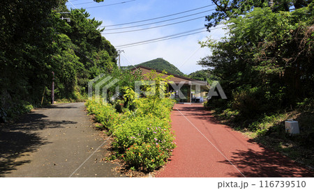 石廊崎の夏 116739510