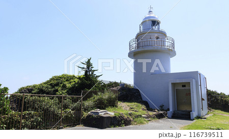 石廊崎の夏 116739511