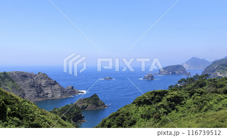 石廊崎の夏 116739512