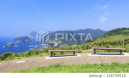 石廊崎の夏 116739518