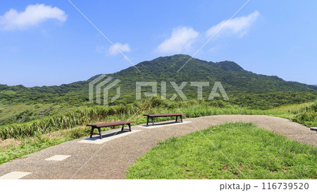 石廊崎の夏 116739520