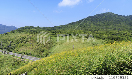石廊崎の夏 石廊崎の夏 116739521